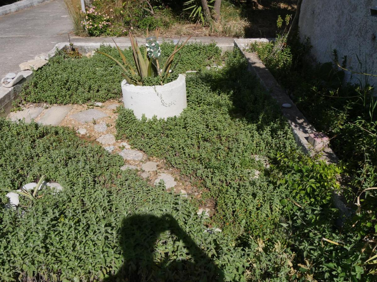 Koskinou  Helios-Rhodos-Apartments מראה חיצוני תמונה