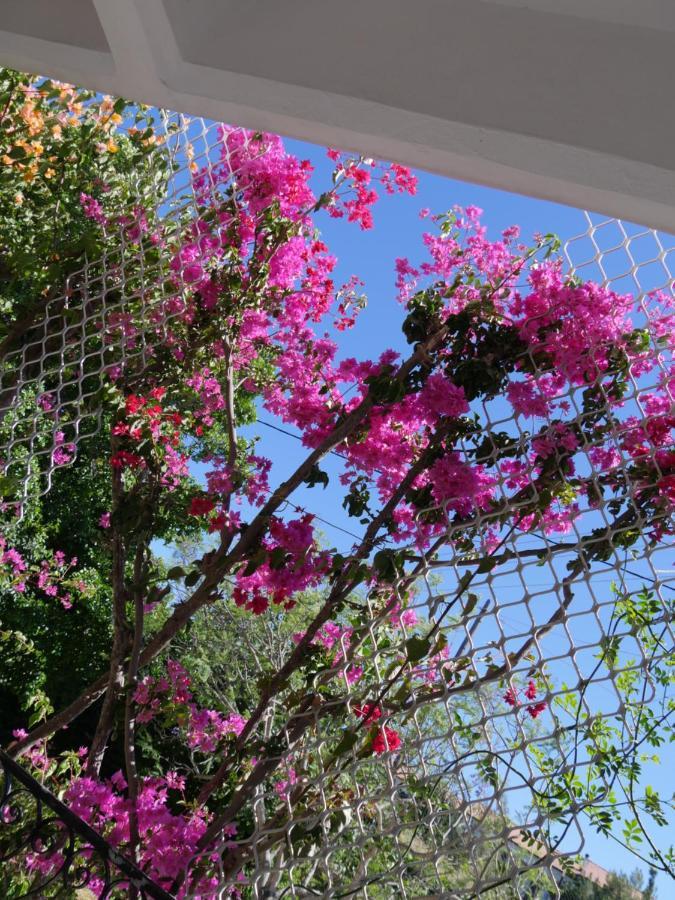 Koskinou  Helios-Rhodos-Apartments מראה חיצוני תמונה
